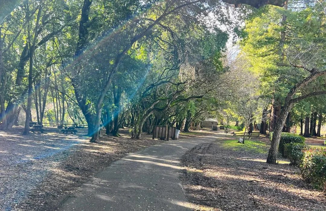 🌳 미와케모리 공원(미와케모리 코엔) 이미지 6